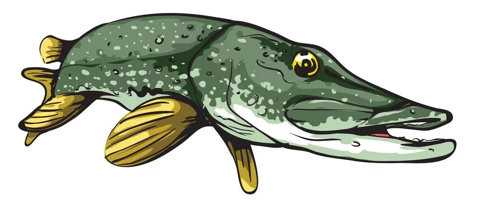Pike Mascot Stock Illustration
