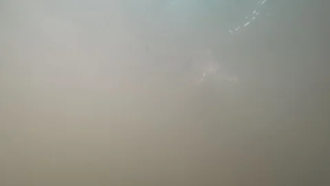 Pike perch eats silicone bait under muddy water Stock Footage 127798488