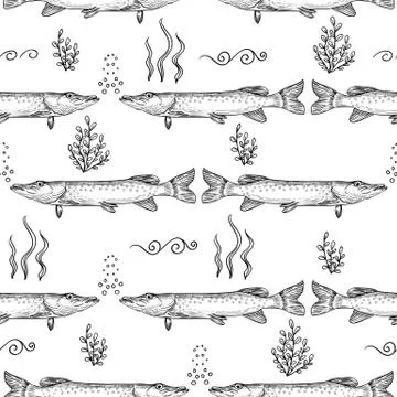 Pike. Seamless pattern of pike. Hand drawn sketch vector illustration Stock Illustration