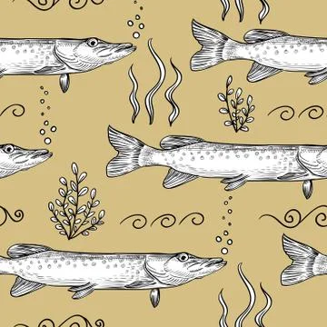 Pike. Seamless pattern of pike. Hand drawn sketch illustration Stock Illustration