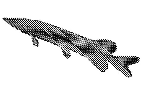 Pike silhouette vector Stock Illustration