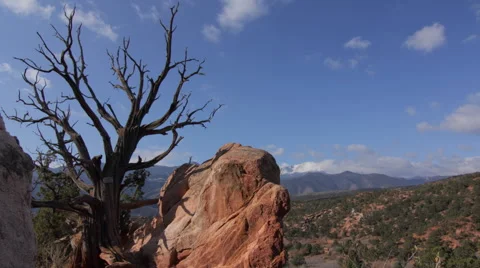 Pikes Peak Juniper Tree Clouds Moving Rocky Mountains Colorado Timelapse Stock Footage 42356706