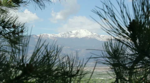 Pikes peak tree foreground Stock Footage 5910093
