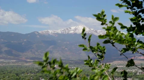 Pikes peak tree foreground Stock Footage 5913842