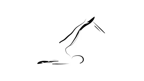 Pilates pose animation Stock Footage 151085351