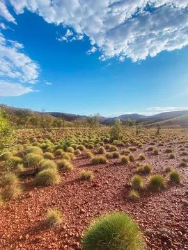 Pilbara outback landscape featuring red earth and spinifex grass Stock Photos