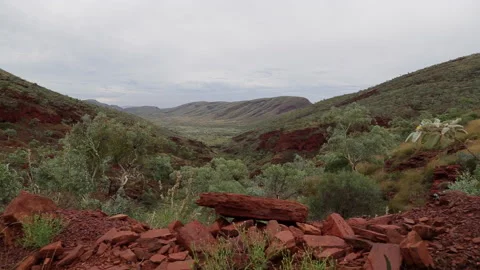 Pilbara rich red earth Stock Footage 197594550