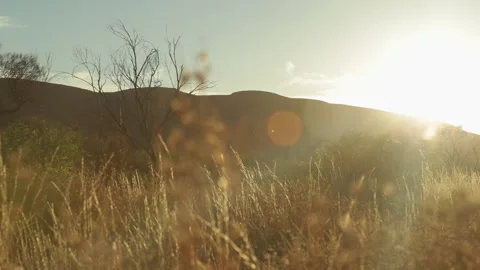 Pilbara tracking shot at sunset Stock Footage