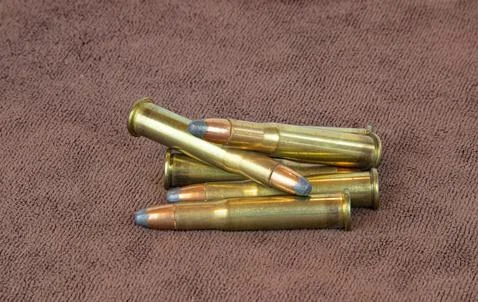 Pile of 3030 Shells Stock Photos
