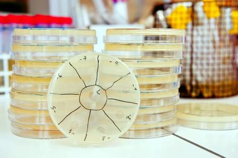 Pile of agar plates Stock Photos