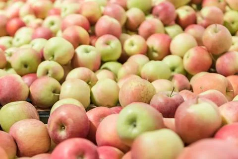 Pile of apples as a background Stock Photos