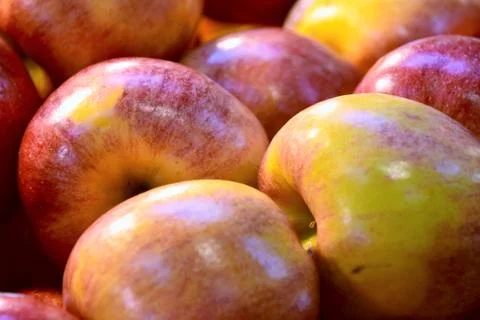 Pile of apples on the wagon. Stock Photos