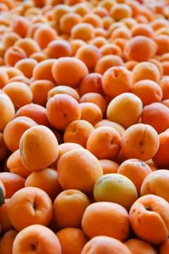 Pile of apricots Stock Photos