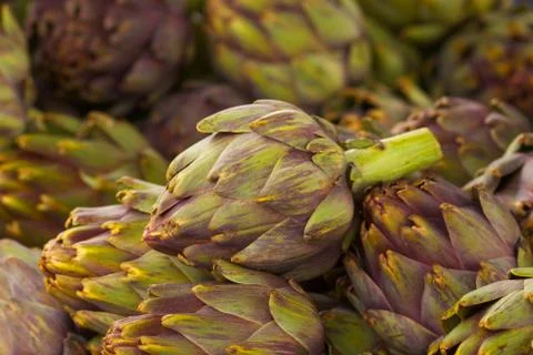 Pile of artichokes horizontal Stock Photos