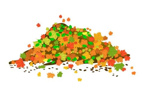 Pile of autumn leaves isolated on white background. Stock Illustration