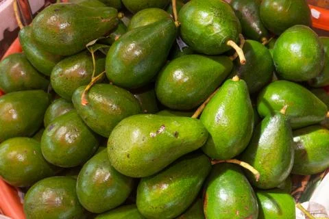 Pile of Avocado Stock Photos