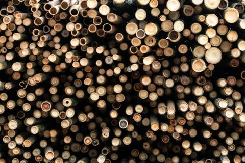 Pile of bamboo pole. Stack of round timber logs. Large batch of wooden logs f Stockfoto's