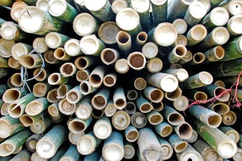 Pile of bamboo in storage 스톡 사진