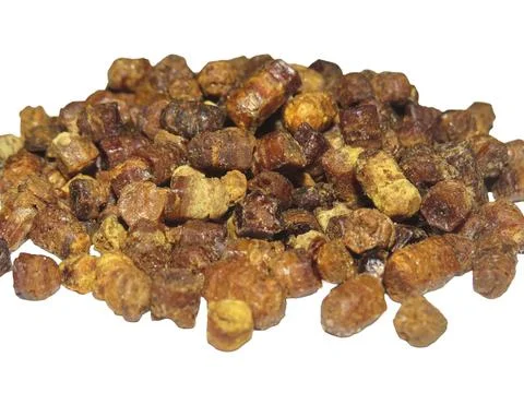 Pile of bee bread. Beehive product Photos