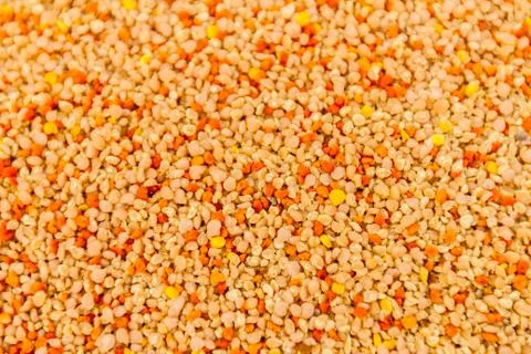Pile of bee bread, pollen texture Stock Photos