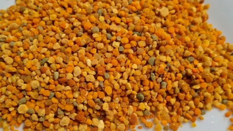 Pile of bee raw polyflower pollen. Video with bee pollen Stock Footage 281148829