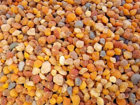 Pile of bee raw polyflower pollen Photos