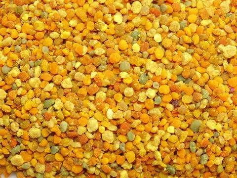 Pile of bee raw polyflower pollen Stock Photos