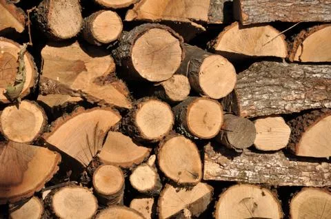 Pile of beech fire wood Stockfoto's