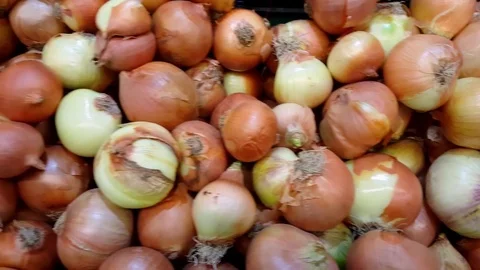 Pile of big brown onions, pan motion Stock Footage 78763308