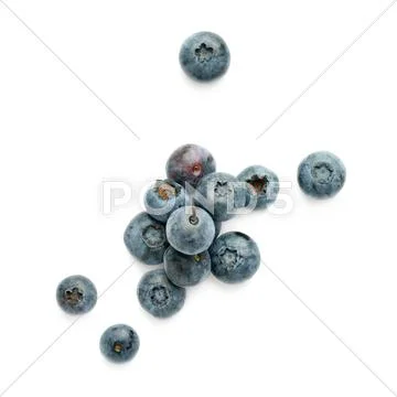 Pile of Bilberry or blueberry over isolated white background Stock Photos