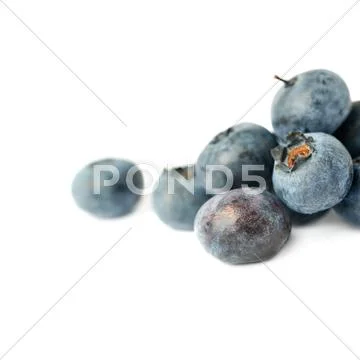 Pile of Bilberry or blueberry over isolated white background Stock Photos