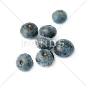Pile of Bilberry or blueberry over isolated white background Stock Photos