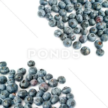 Pile of Bilberry or blueberry over isolated white background Stock Photos