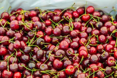 Pile of Bing Cherries Stock Photos