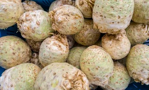 Pile of bio celery roots background Foto stock
