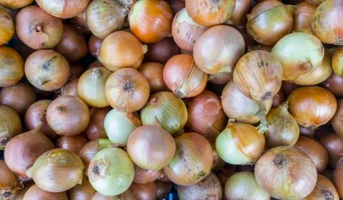 Pile of bio onions background Stock Photos