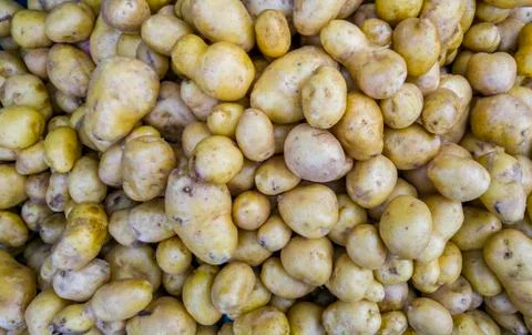Pile of bio potatoes background Stock Photos