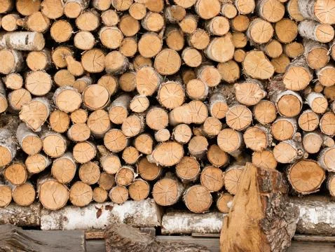 A pile of birch logs stored on top of each other. Stock Photos