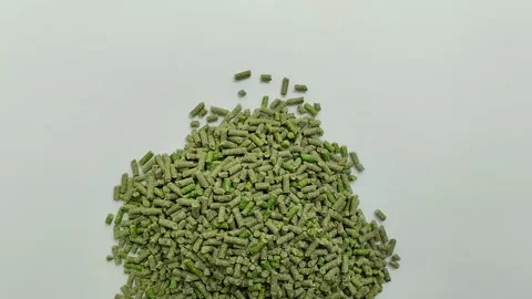 Pile of bird pellets on white background Stockbeeldmateriaal 309847648