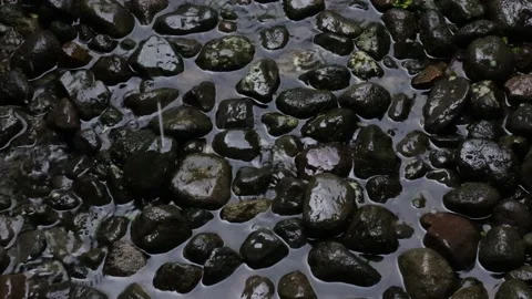 Pile Of Black Grey Small Rocks Under Pouring Rain Wet And Flooded On The Ground Stock Footage 165596144