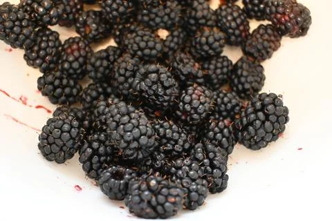 Pile of blackberries Fotos Stock