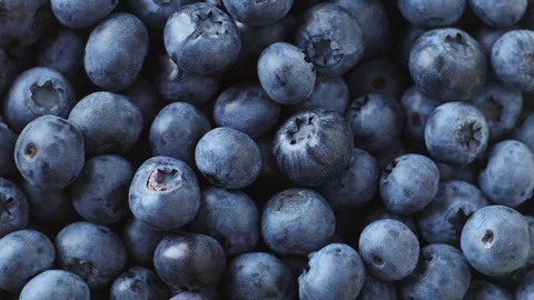 Pile of blueberries, overhead view Stock Footage 78230024