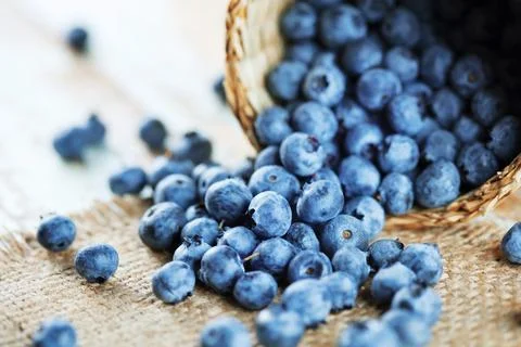 Pile of blueberries Stock Photos
