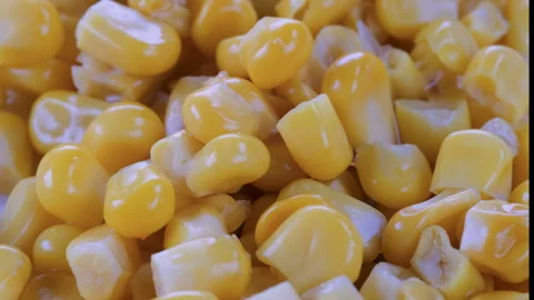 Pile of boiled and pickled corn kernels. Slider shot. Video stock 296530777