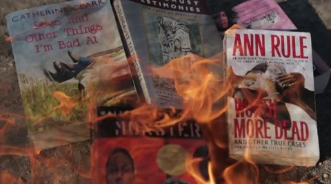 Pile of Books Burning Stock Footage 43134143