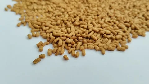 A pile of bright brown turtle pellets on a white background. Stock Footage 312088144