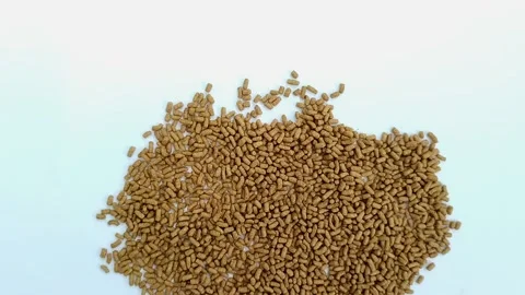 A pile of bright brown turtle pellets on a white background. Stock Footage 312088183