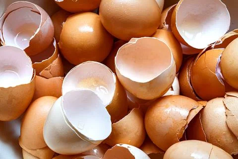 A pile of broken brown egg shells, a heap of cracked eggs. Stock Photos