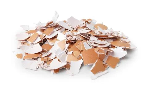 Pile of broken eggshells isolated on white Foto stock