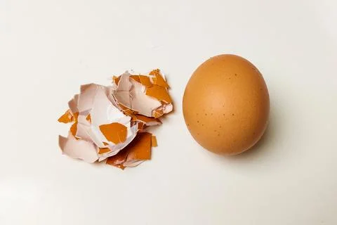 A pile of broken shell fragments and whole brown chicken eggs against an is.. Stock-Fotos